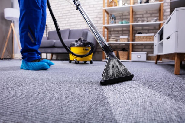 vacuuming carpet through vacuum cleaner